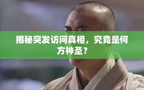 揭秘突發(fā)訪問真相，究竟是何方神圣？