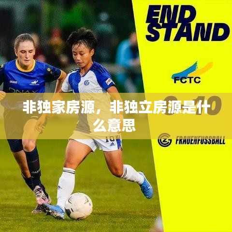 非獨(dú)家房源，非獨(dú)立房源是什么意思 