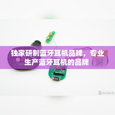 獨(dú)家研制藍(lán)牙耳機(jī)品牌，專業(yè)生產(chǎn)藍(lán)牙耳機(jī)的品牌 