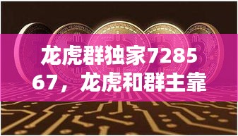 龍虎群獨(dú)家728567，龍虎和群主靠什么賺錢 