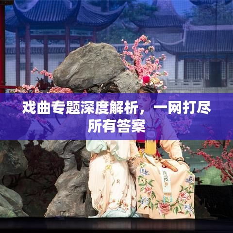 戲曲專題深度解析，一網(wǎng)打盡所有答案