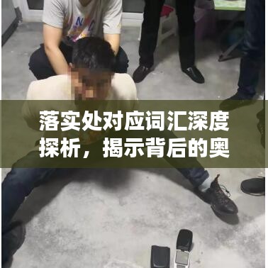 落實處對應(yīng)詞匯深度探析，揭示背后的奧秘