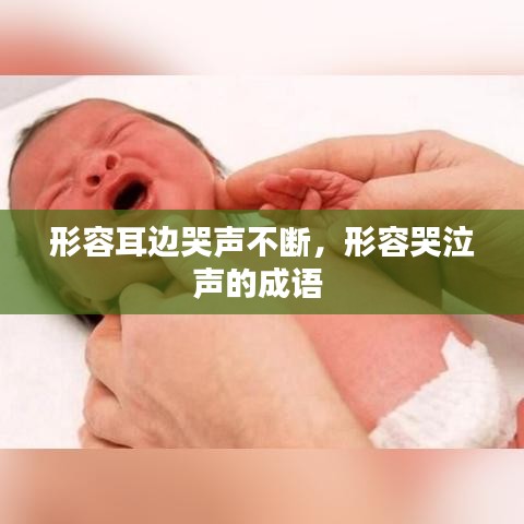 形容耳邊哭聲不斷，形容哭泣聲的成語(yǔ) 