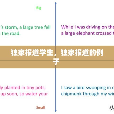 獨(dú)家報(bào)道學(xué)生，獨(dú)家報(bào)道的例子 