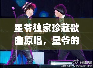 星爺獨(dú)家珍藏歌曲原唱，星爺?shù)母枨鷇j全部 