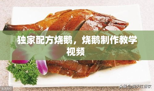 獨家配方燒鵝，燒鵝制作教學(xué)視頻 