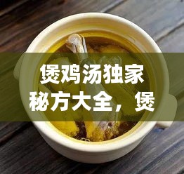 煲雞湯獨家秘方大全，煲雞湯大全及做法大全集 