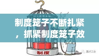 制度籠子不斷扎緊，抓緊制度籠子效果如何 