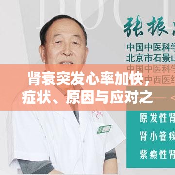 腎衰突發(fā)心率加快，癥狀、原因與應(yīng)對之策