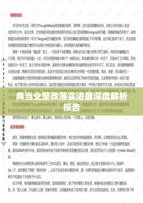典當(dāng)業(yè)整改落實進展深度解析報告