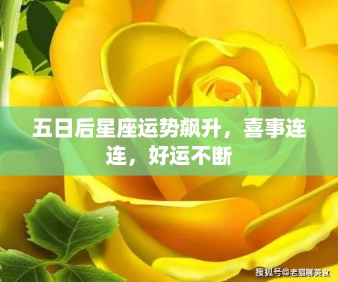 五日后星座運勢飆升，喜事連連，好運不斷