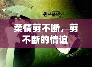 柔情剪不斷，剪不斷的情誼 