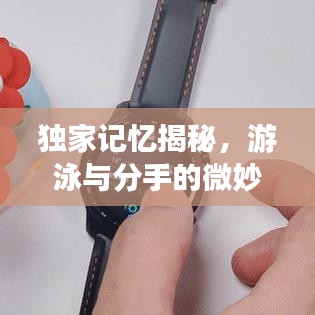 獨(dú)家記憶揭秘，游泳與分手的微妙交織