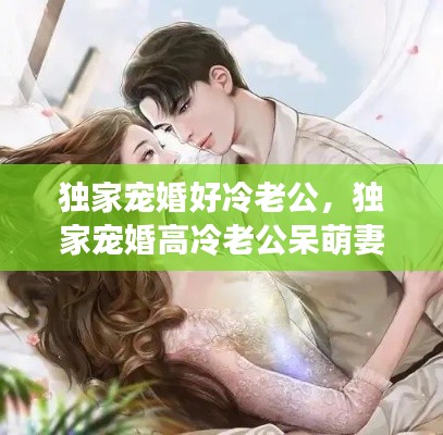 獨(dú)家寵婚好冷老公，獨(dú)家寵婚高冷老公呆萌妻 