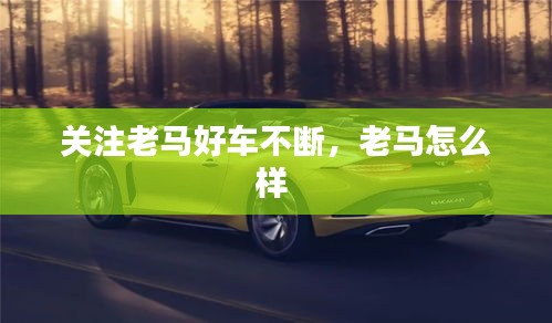 關注老馬好車不斷，老馬怎么樣 