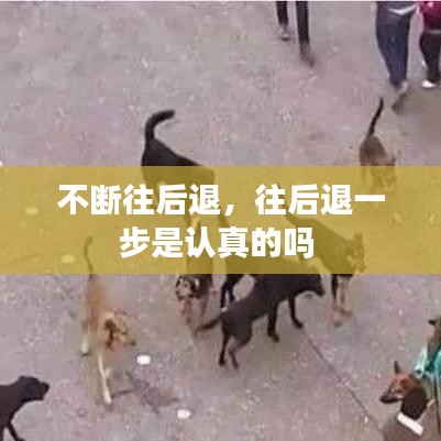 不斷往后退，往后退一步是認(rèn)真的嗎 