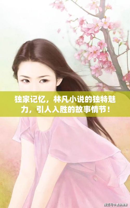 獨(dú)家記憶，林凡小說的獨(dú)特魅力，引人入勝的故事情節(jié)！
