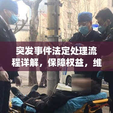 突發(fā)事件法定處理流程詳解，保障權(quán)益，維護(hù)秩序的關(guān)鍵步驟