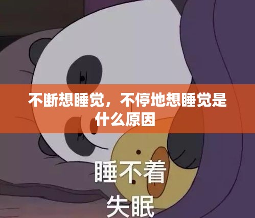 2025年1月6日 第13頁
