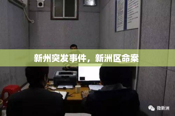 新州突發(fā)事件，新洲區(qū)命案 