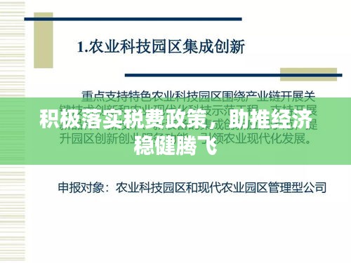 積極落實稅費政策，助推經(jīng)濟(jì)穩(wěn)健騰飛