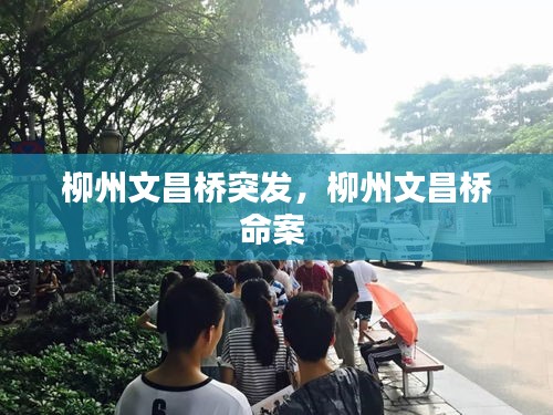 柳州文昌橋突發(fā)，柳州文昌橋命案 