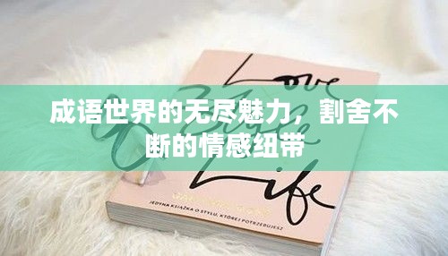 成語世界的無盡魅力，割舍不斷的情感紐帶