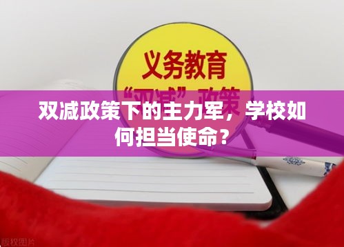 雙減政策下的主力軍，學(xué)校如何擔(dān)當(dāng)使命？