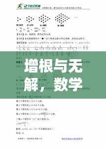 增根與無解，數(shù)學專題的深度探究