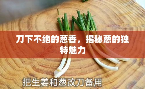 刀下不絕的蔥香，揭秘蔥的獨(dú)特魅力