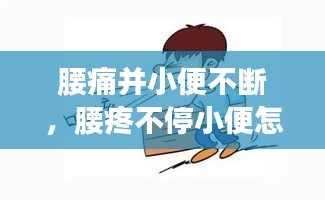 腰痛并小便不斷，腰疼不停小便怎么回事 