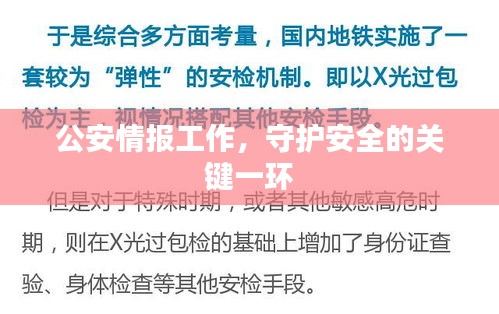 公安情報(bào)工作，守護(hù)安全的關(guān)鍵一環(huán)