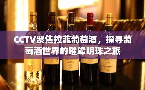 誠(chéng)心誠(chéng)意 第3頁(yè)