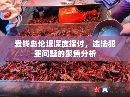 愛錢島論壇深度探討，違法犯罪問(wèn)題的聚焦分析