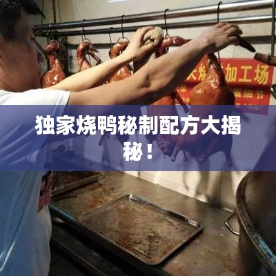 獨家燒鴨秘制配方大揭秘！