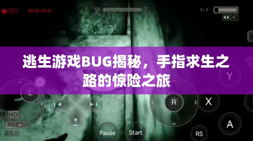 逃生游戲BUG揭秘，手指求生之路的驚險(xiǎn)之旅