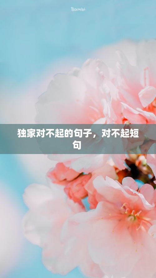 獨家對不起的句子，對不起短句 