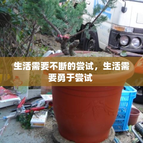 2025年1月7日 第5頁