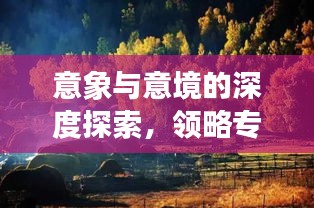 意象與意境的深度探索，領(lǐng)略專題魅力