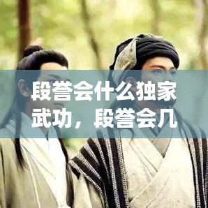 段譽會什么獨家武功，段譽會幾種武功 