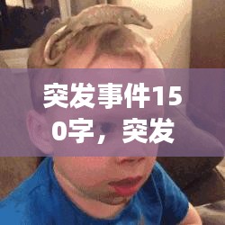 突發(fā)事件150字，突發(fā)事件作文500字 