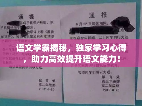 語文學(xué)霸揭秘，獨(dú)家學(xué)習(xí)心得，助力高效提升語文能力！