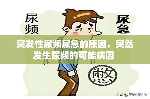突發(fā)性尿頻尿急的原因，突然發(fā)生尿頻的可能病因 