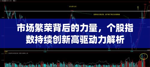 市場(chǎng)繁榮背后的力量，個(gè)股指數(shù)持續(xù)創(chuàng)新高驅(qū)動(dòng)力解析