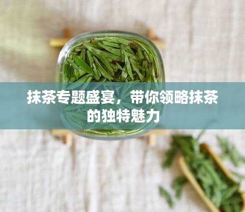 雍容爾雅 第2頁(yè)