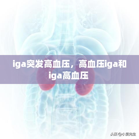 iga突發(fā)高血壓，高血壓iga和iga高血壓 
