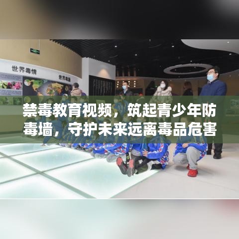 禁毒教育視頻，筑起青少年防毒墻，守護未來遠離毒品危害