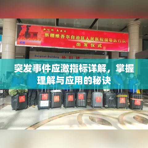 突發(fā)事件應(yīng)激指標(biāo)詳解，掌握理解與應(yīng)用的秘訣