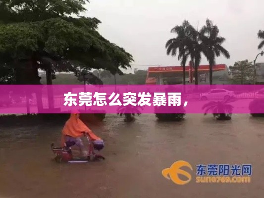 東莞怎么突發(fā)暴雨， 