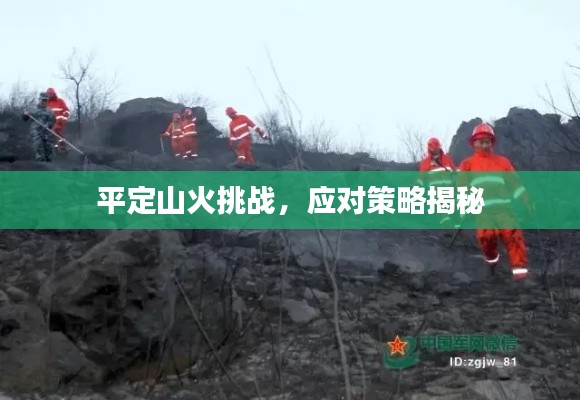 平定山火挑戰(zhàn)，應(yīng)對策略揭秘